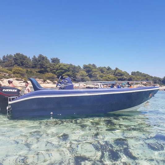 DELPHIN 5.0